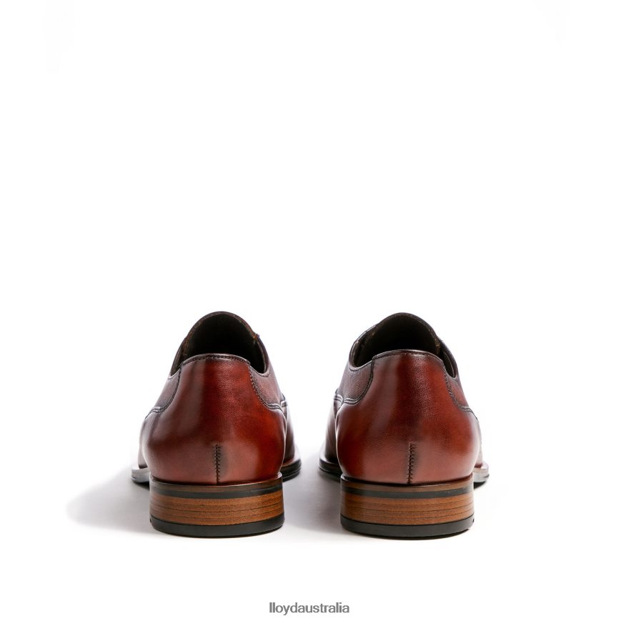 LLOYD Men SANTIAGO brown Shoes H6PTLF238