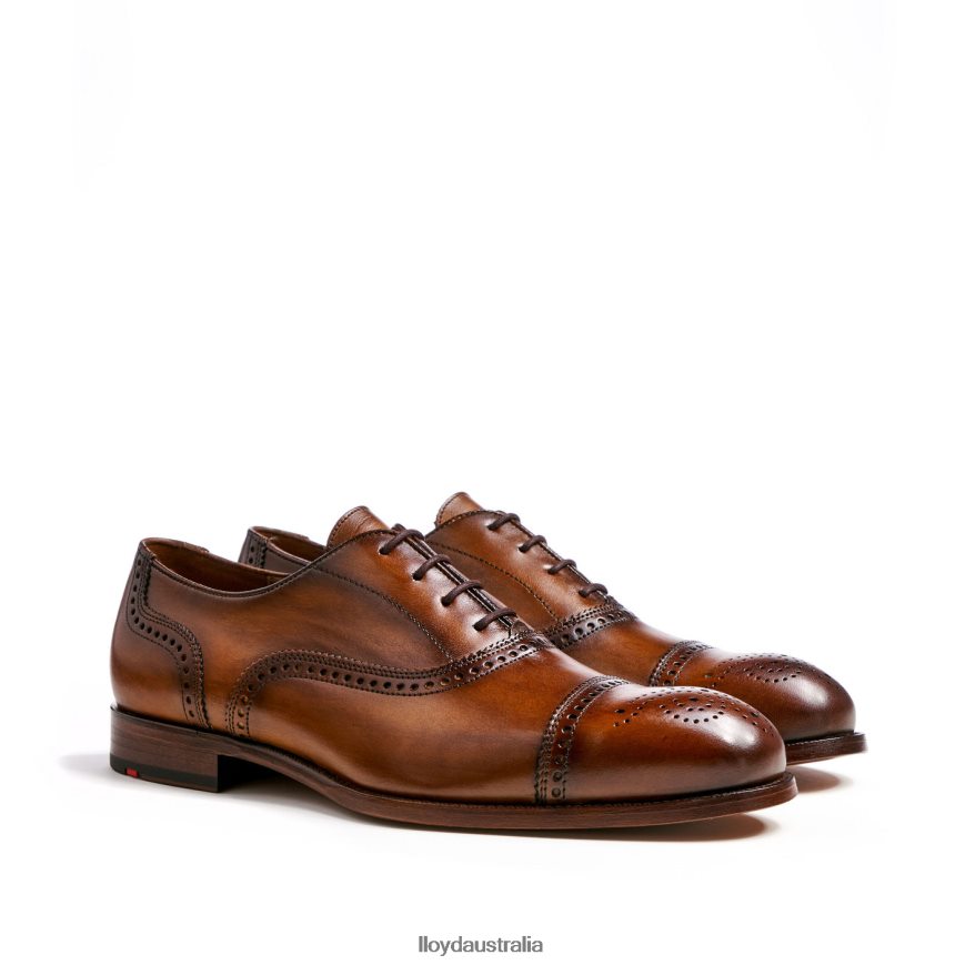 LLOYD Men SHEFFIELD brown Shoes H6PTLF219
