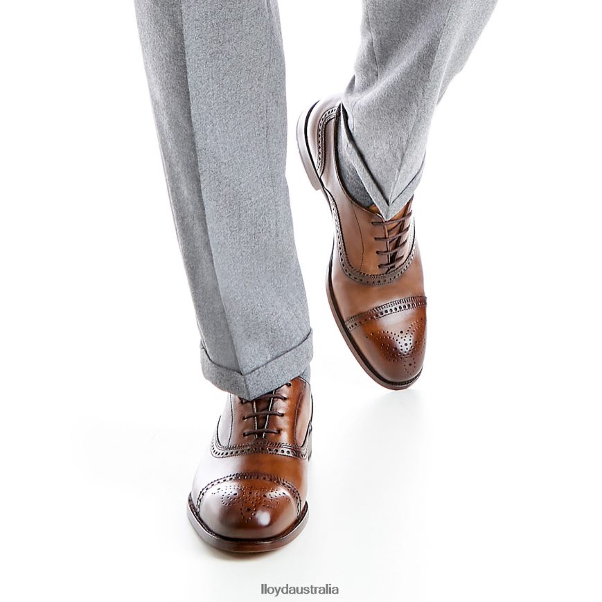 LLOYD Men SHEFFIELD brown Shoes H6PTLF219