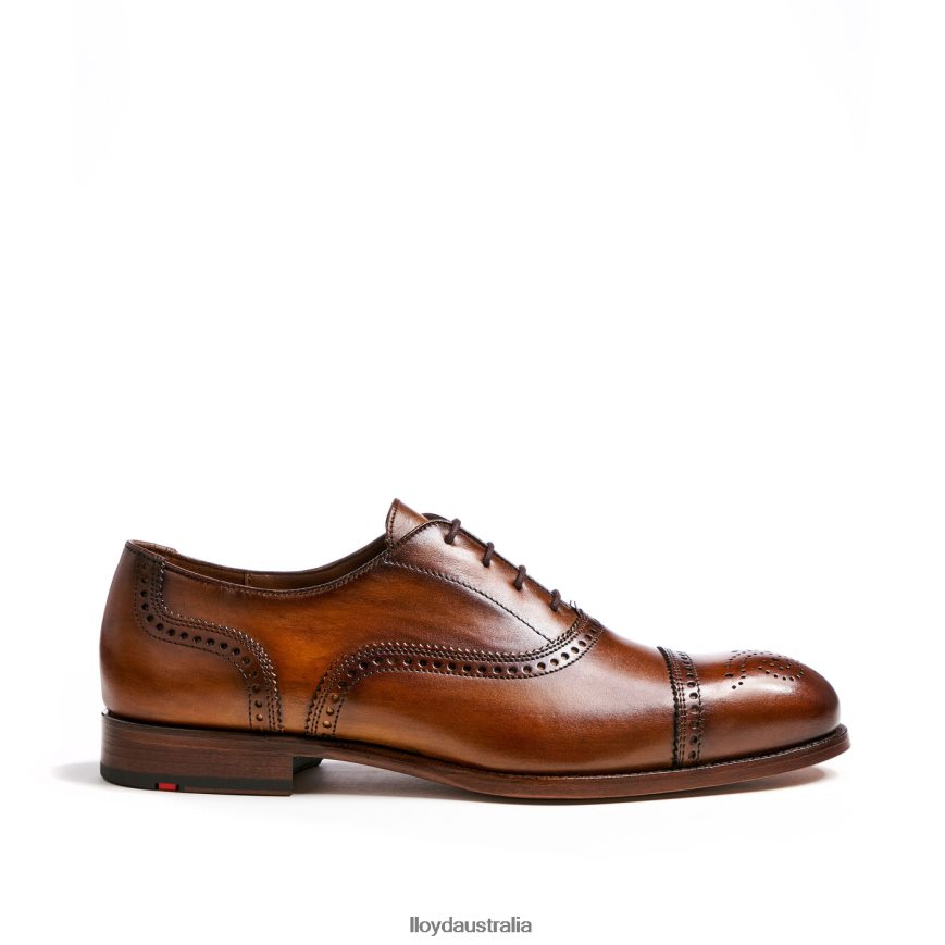 LLOYD Men SHEFFIELD brown Shoes H6PTLF219