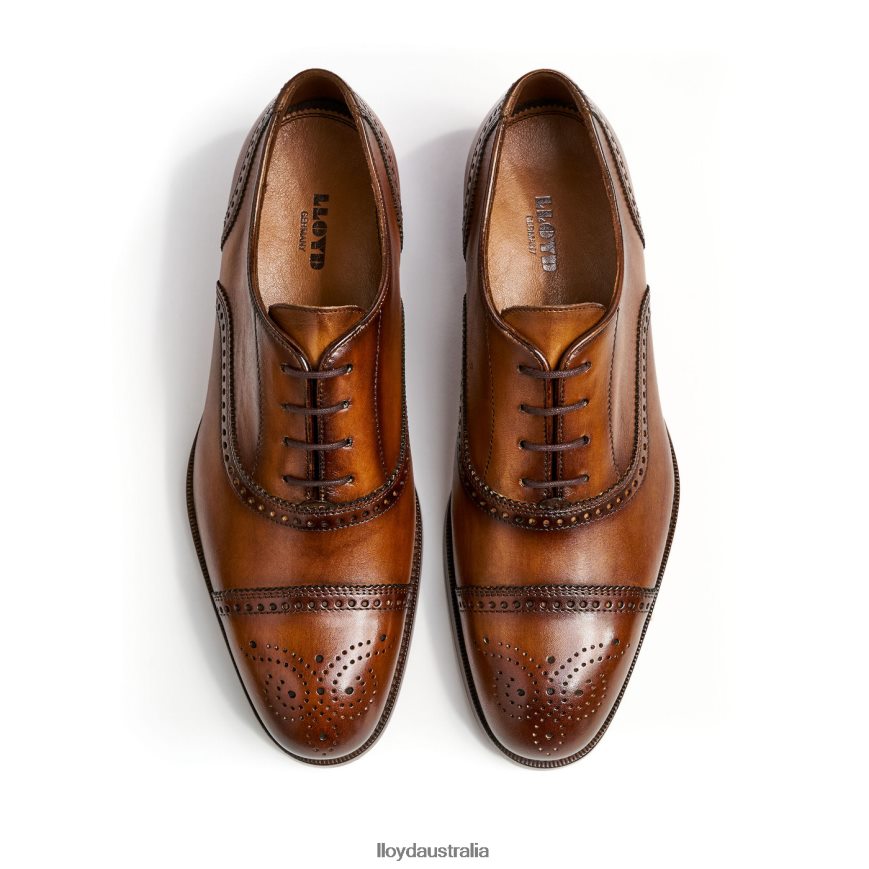 LLOYD Men SHEFFIELD brown Shoes H6PTLF219