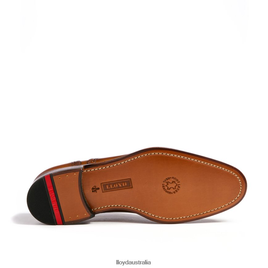 LLOYD Men SHEFFIELD brown Shoes H6PTLF219
