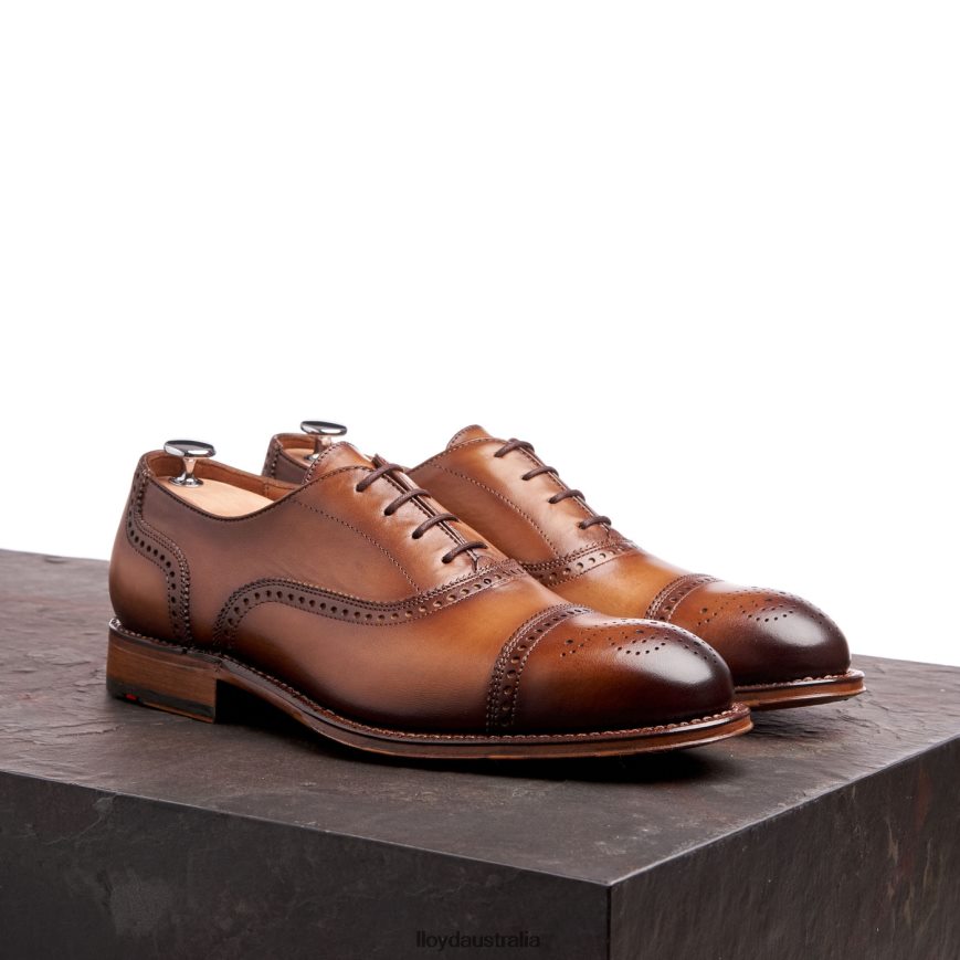 LLOYD Men WATERLOO brown Shoes H6PTLF21