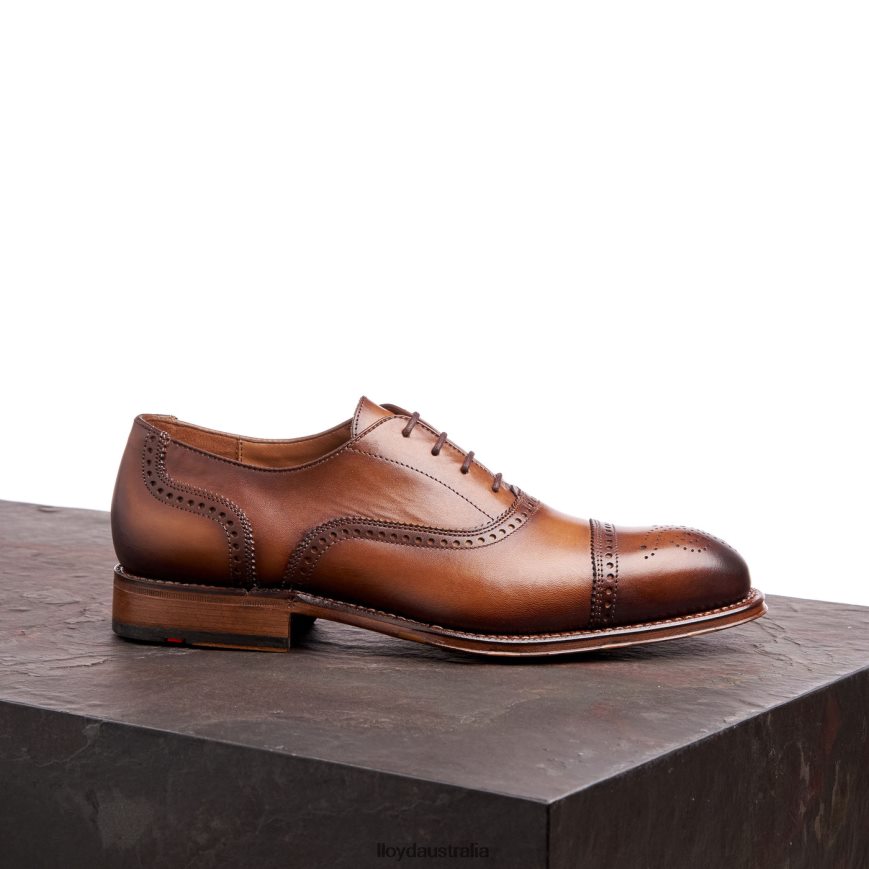 LLOYD Men WATERLOO brown Shoes H6PTLF21