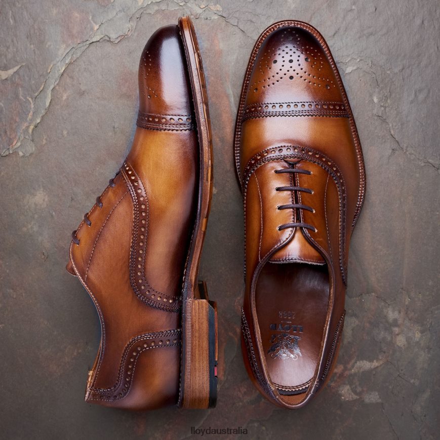 LLOYD Men WATERLOO brown Shoes H6PTLF21