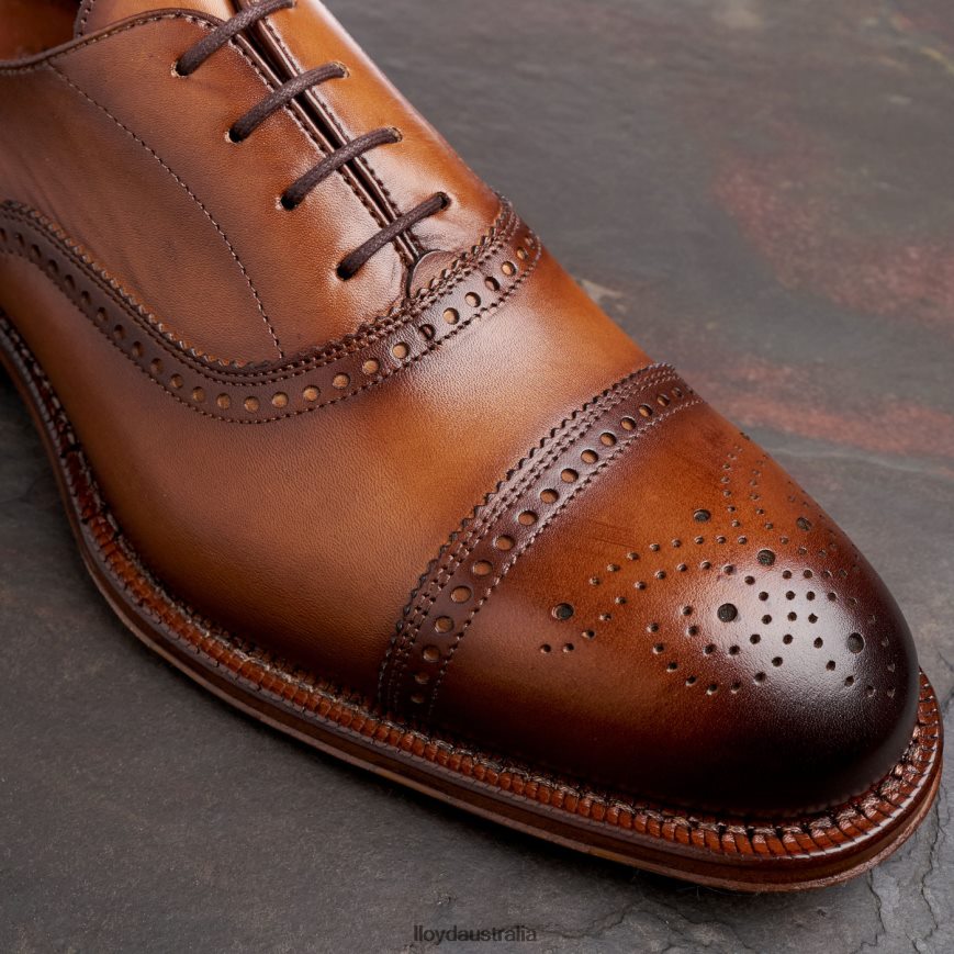 LLOYD Men WATERLOO brown Shoes H6PTLF21