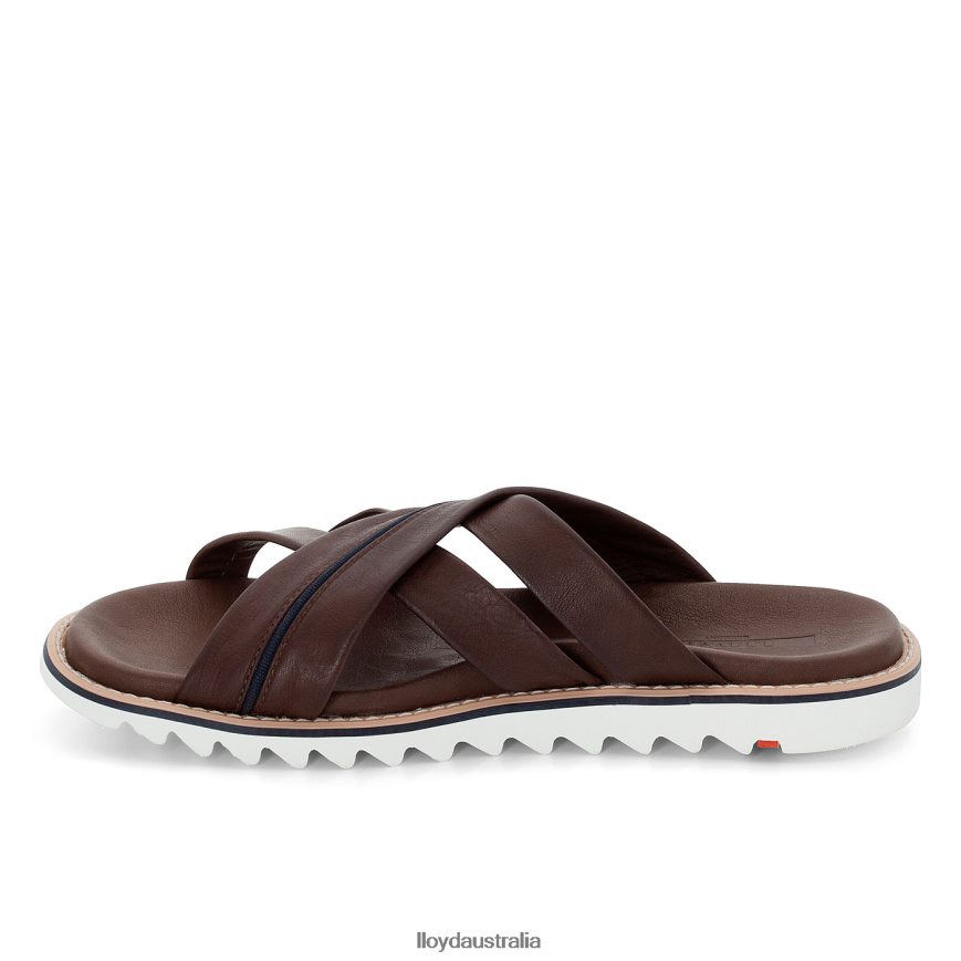 LLOYD Men EDVINO brown Shoes H6PTLF584