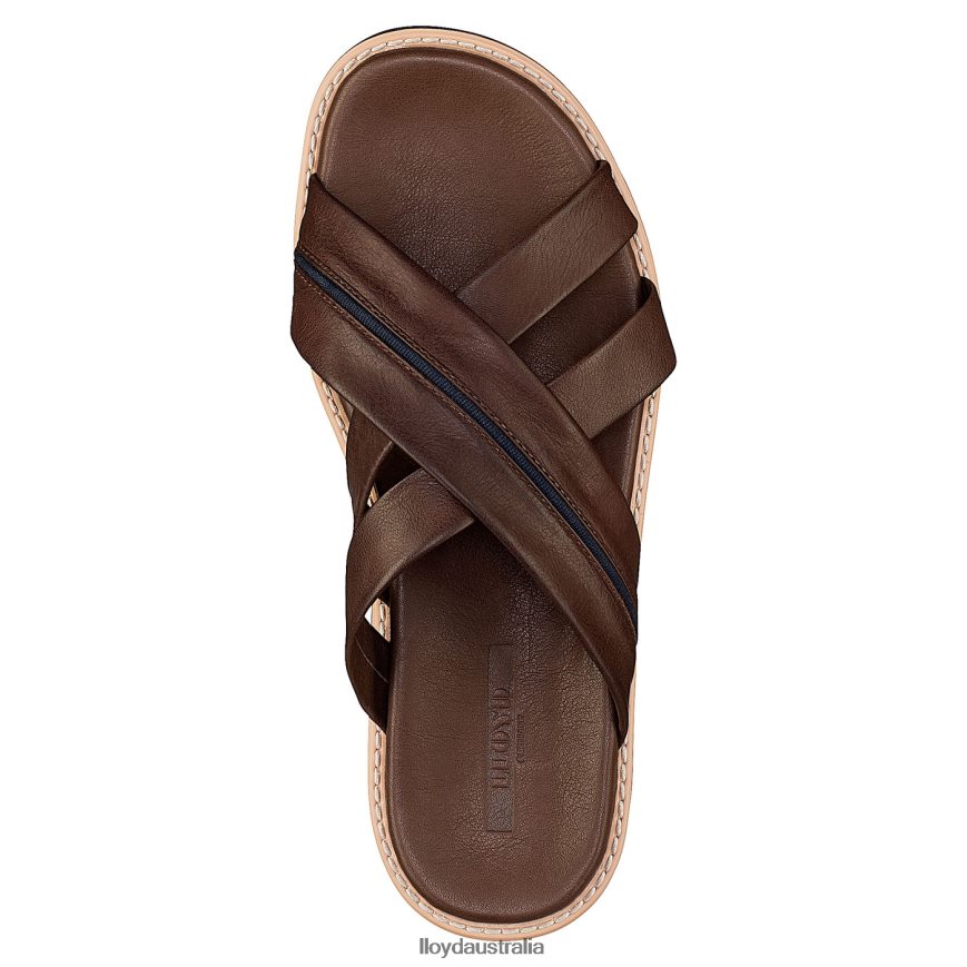 LLOYD Men EDVINO brown Shoes H6PTLF584