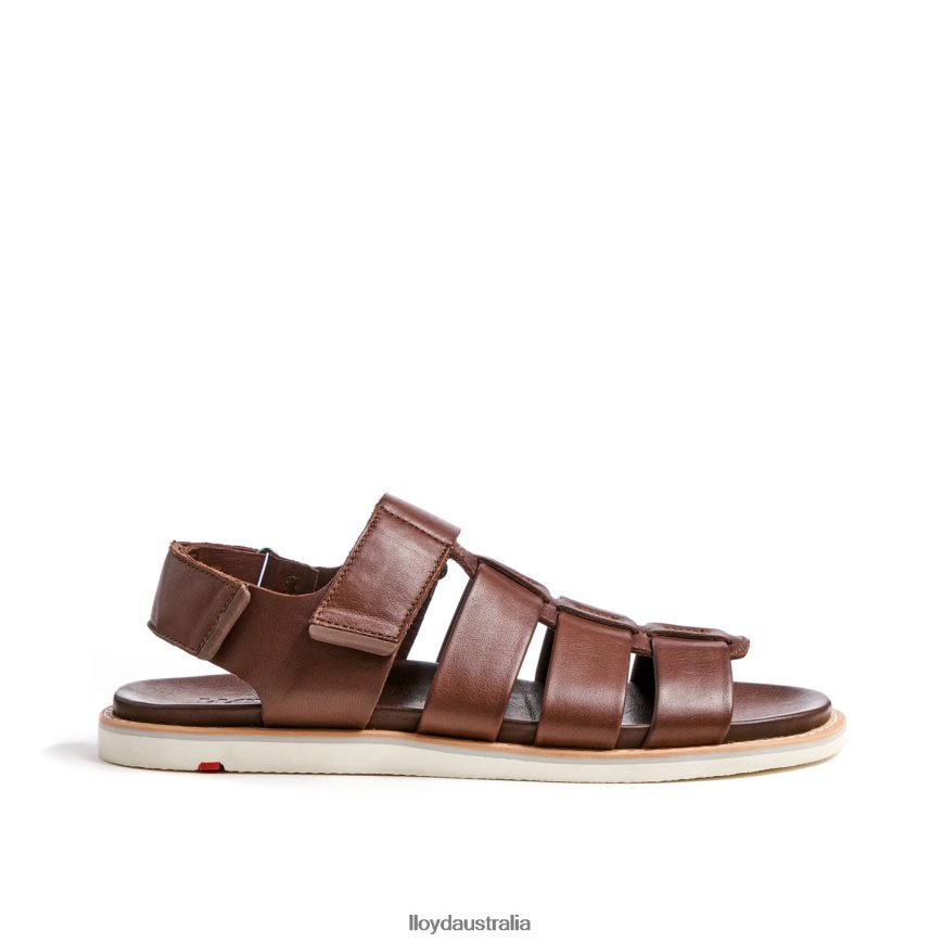 LLOYD Men ELIMAR brown Shoes H6PTLF583