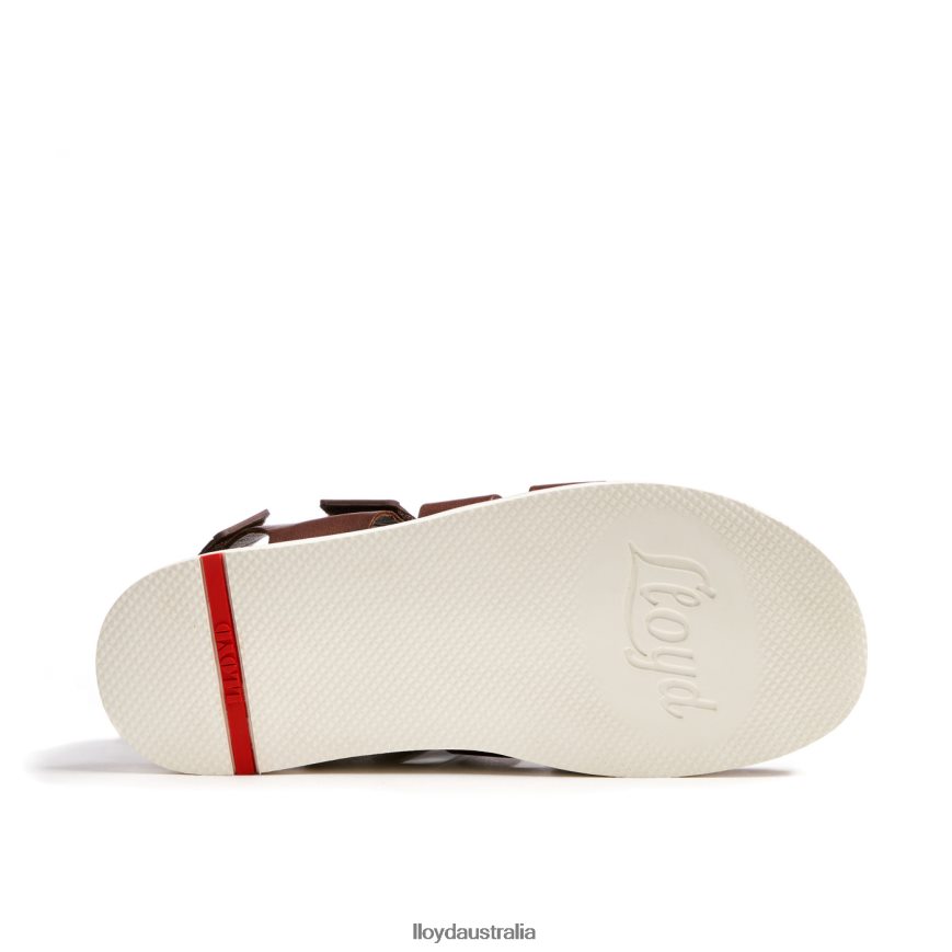 LLOYD Men ELIMAR brown Shoes H6PTLF583