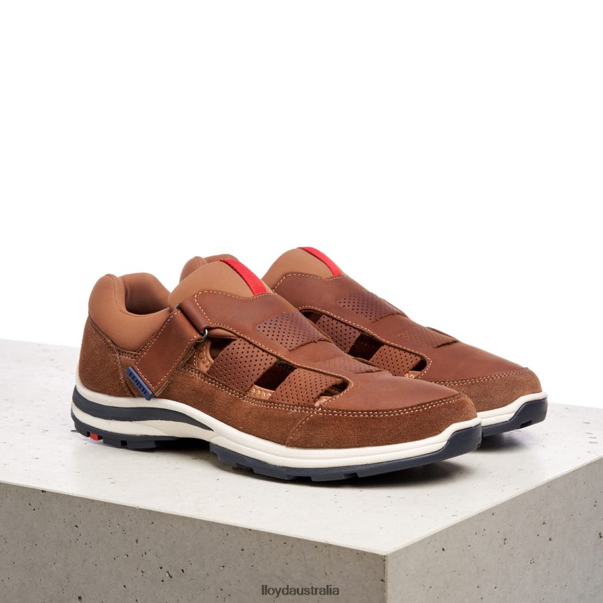LLOYD Men ELRADO brown Shoes H6PTLF625