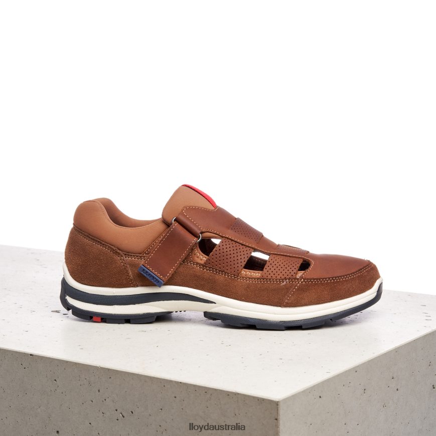 LLOYD Men ELRADO brown Shoes H6PTLF625