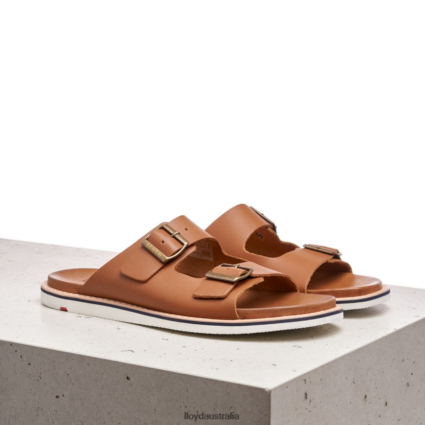 LLOYD Men EMERSON brown Shoes H6PTLF579