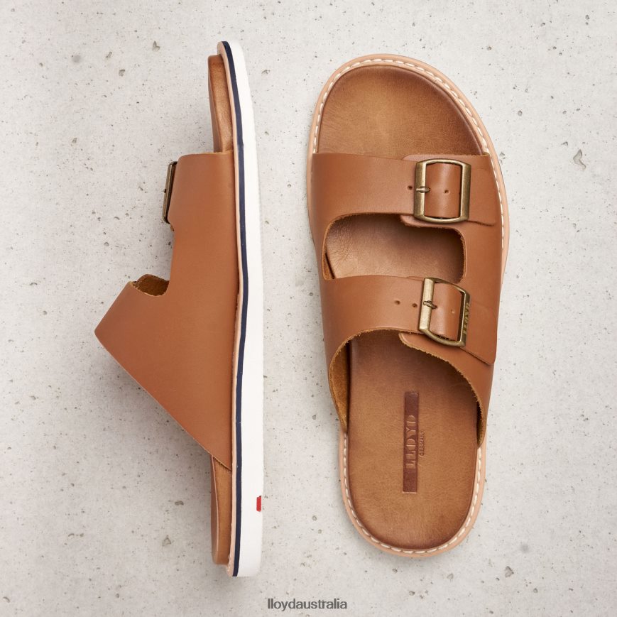 LLOYD Men EMERSON brown Shoes H6PTLF579