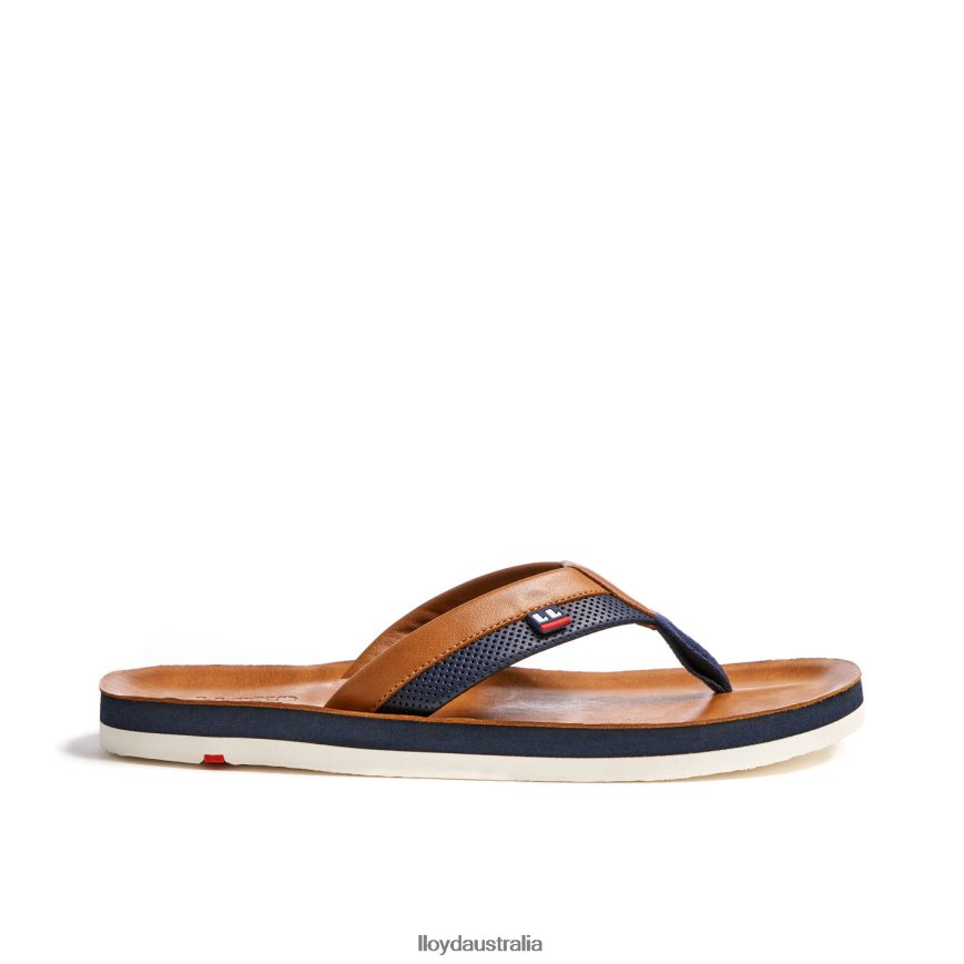LLOYD Men FLIP FLOP brown Shoes H6PTLF718