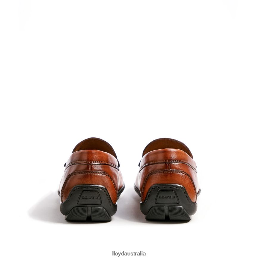 LLOYD Men EMILIO brown Shoes H6PTLF621