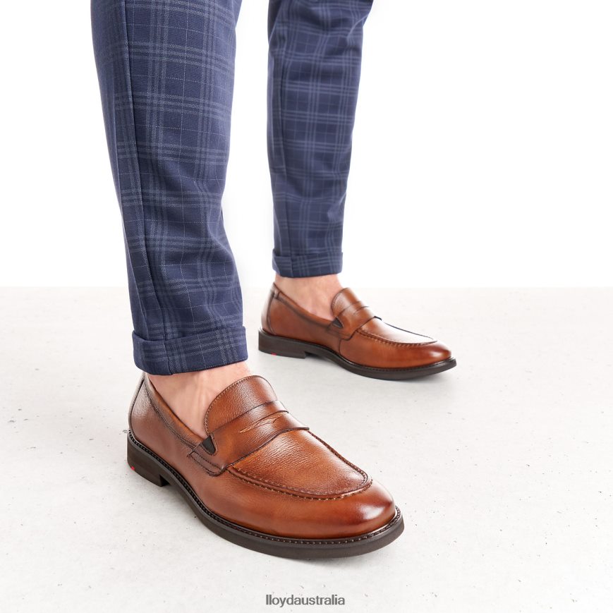 LLOYD Men REG brown Shoes H6PTLF169