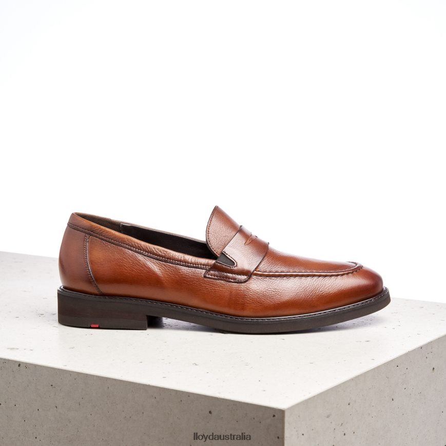 LLOYD Men REG brown Shoes H6PTLF169