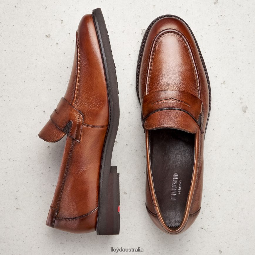 LLOYD Men REG brown Shoes H6PTLF169