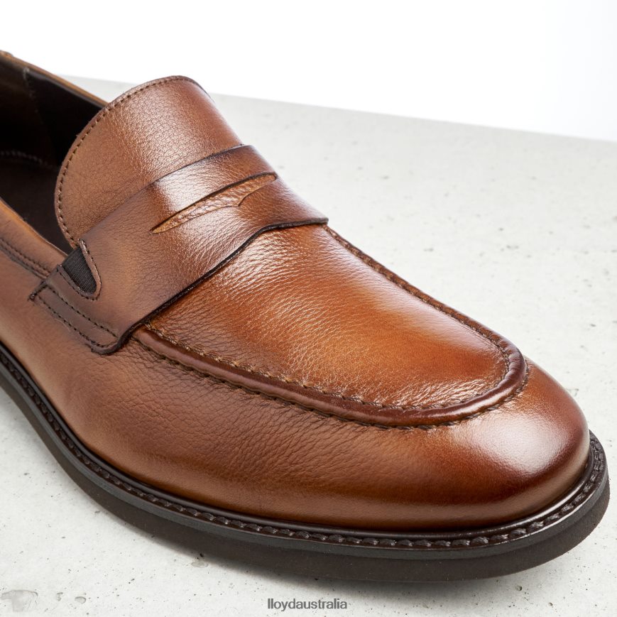 LLOYD Men REG brown Shoes H6PTLF169
