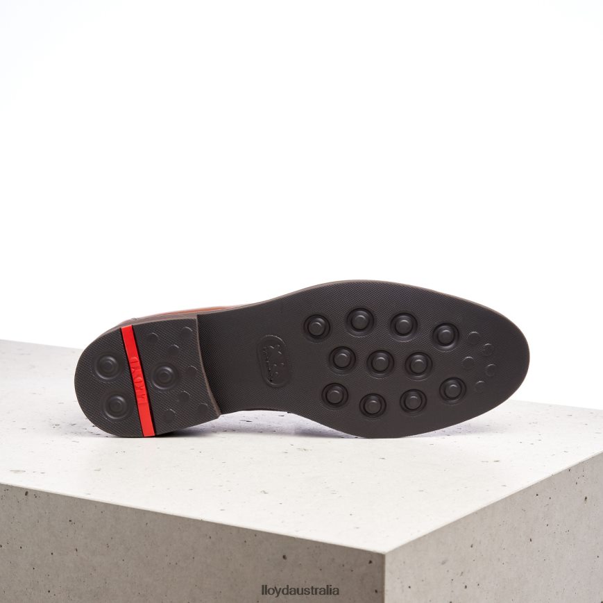 LLOYD Men REG brown Shoes H6PTLF169