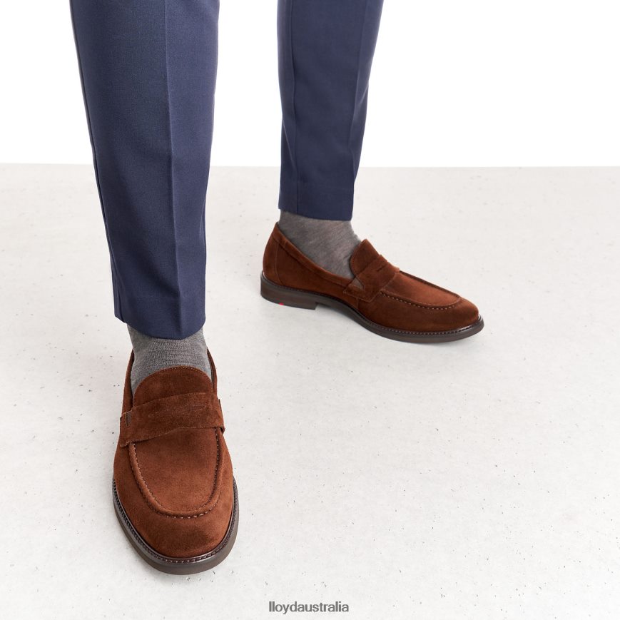LLOYD Men REG brown Shoes H6PTLF183
