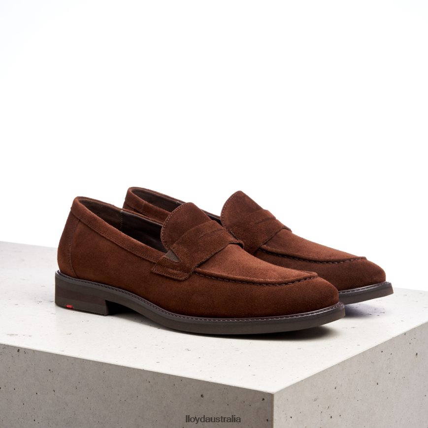 LLOYD Men REG brown Shoes H6PTLF183