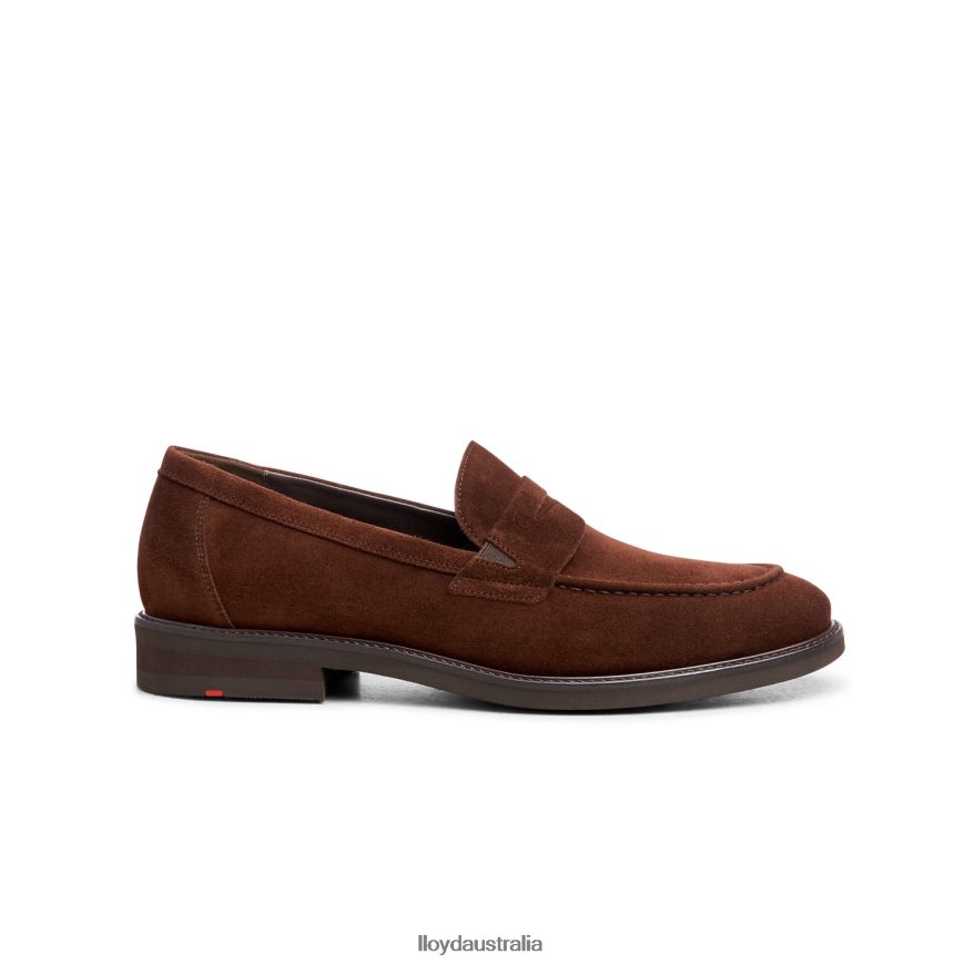 LLOYD Men REG brown Shoes H6PTLF183