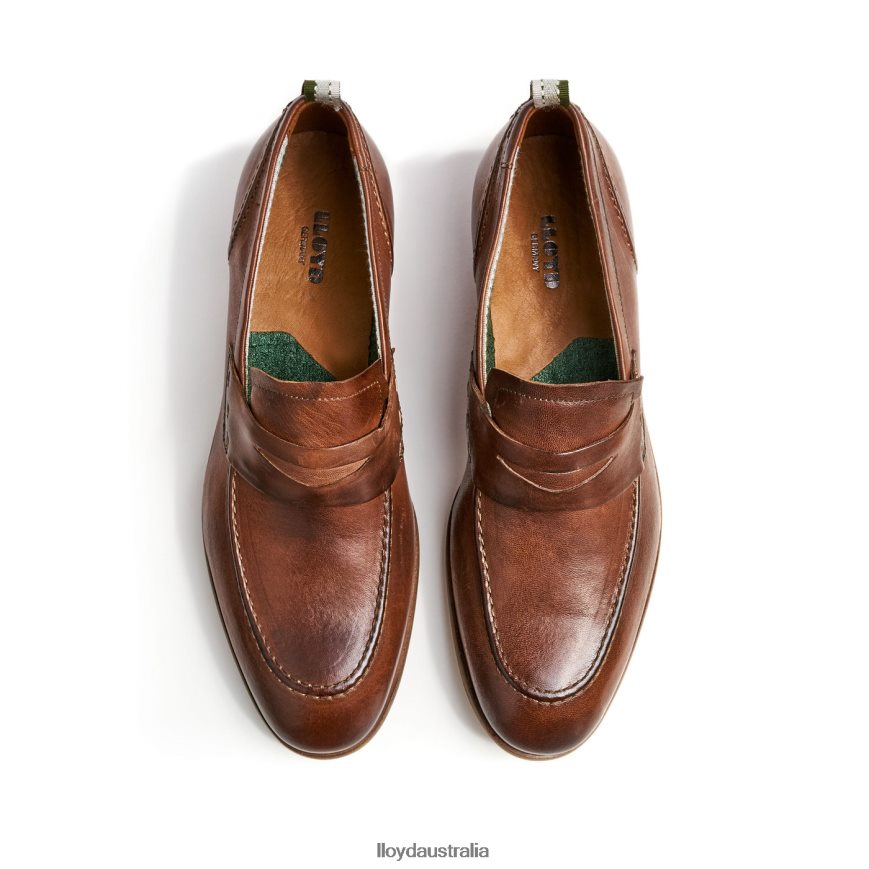 LLOYD Men RIPAN brown Shoes H6PTLF1348
