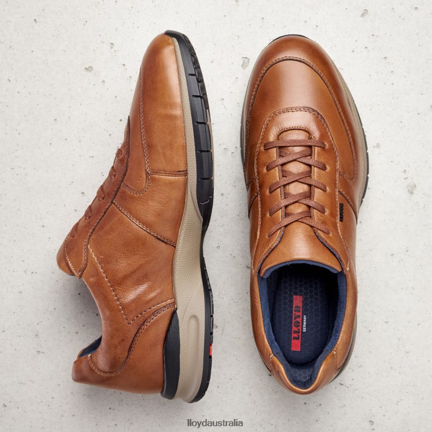 LLOYD Men ABERDEEN brown Shoes H6PTLF392