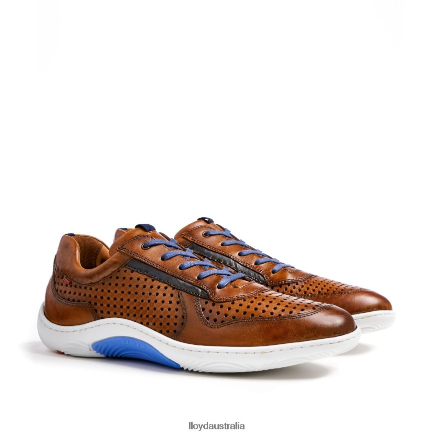 LLOYD Men ABOTT brown Shoes H6PTLF415