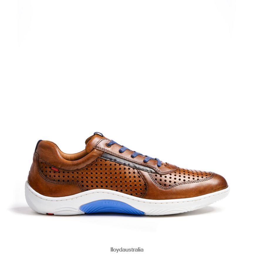 LLOYD Men ABOTT brown Shoes H6PTLF415