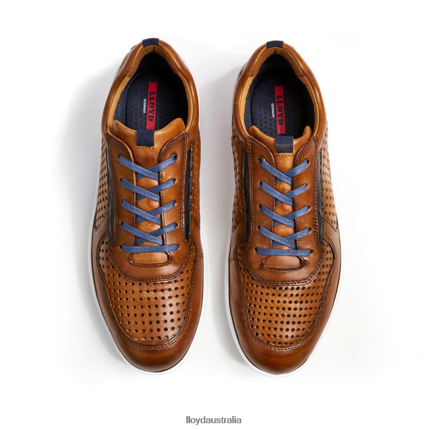 LLOYD Men ABOTT brown Shoes H6PTLF415
