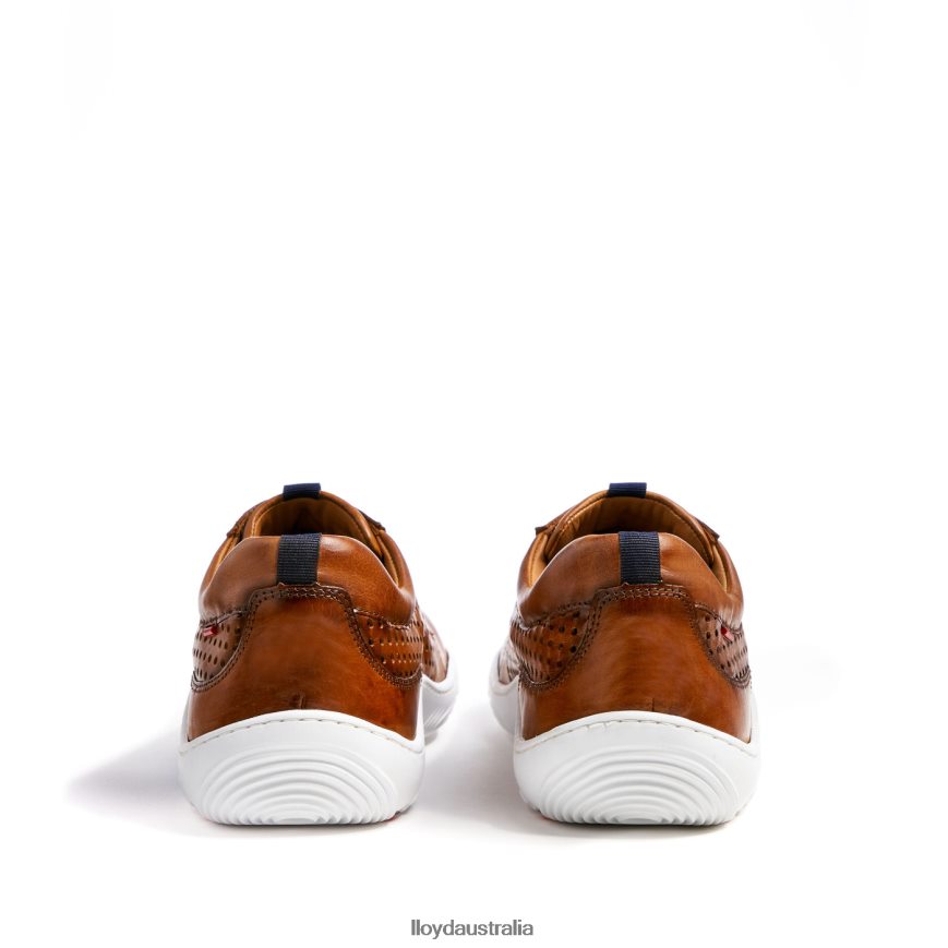 LLOYD Men ABOTT brown Shoes H6PTLF415