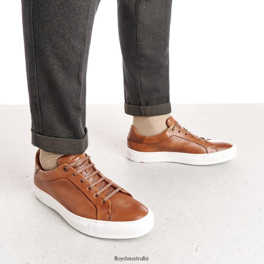 LLOYD Men AJAN brown Shoes H6PTLF391