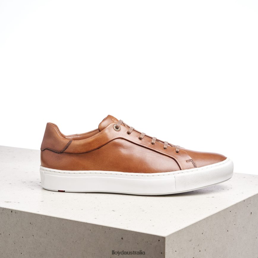 LLOYD Men AJAN brown Shoes H6PTLF391