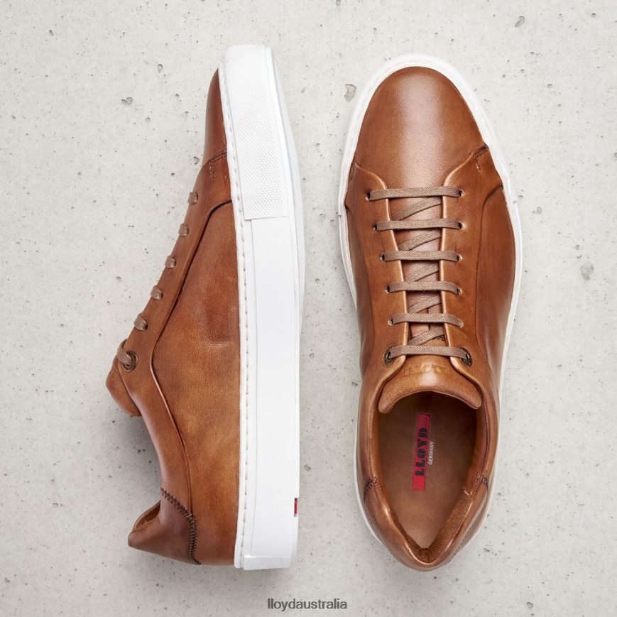 LLOYD Men AJAN brown Shoes H6PTLF391