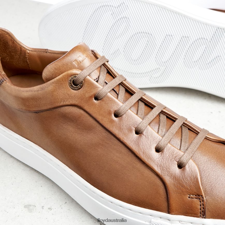 LLOYD Men AJAN brown Shoes H6PTLF391