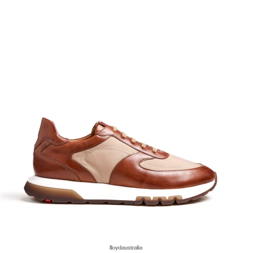 LLOYD Men ALBANY brown Shoes H6PTLF1337