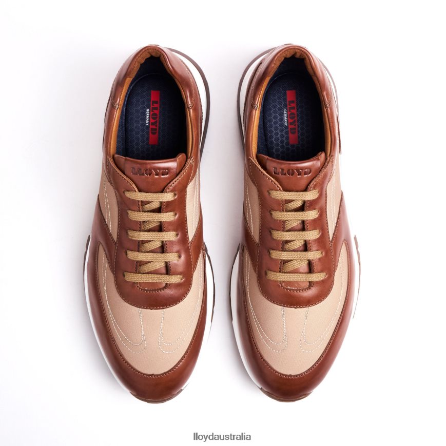 LLOYD Men ALBANY brown Shoes H6PTLF1337