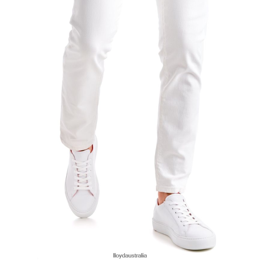 LLOYD Men AUSTIN white Shoes H6PTLF348