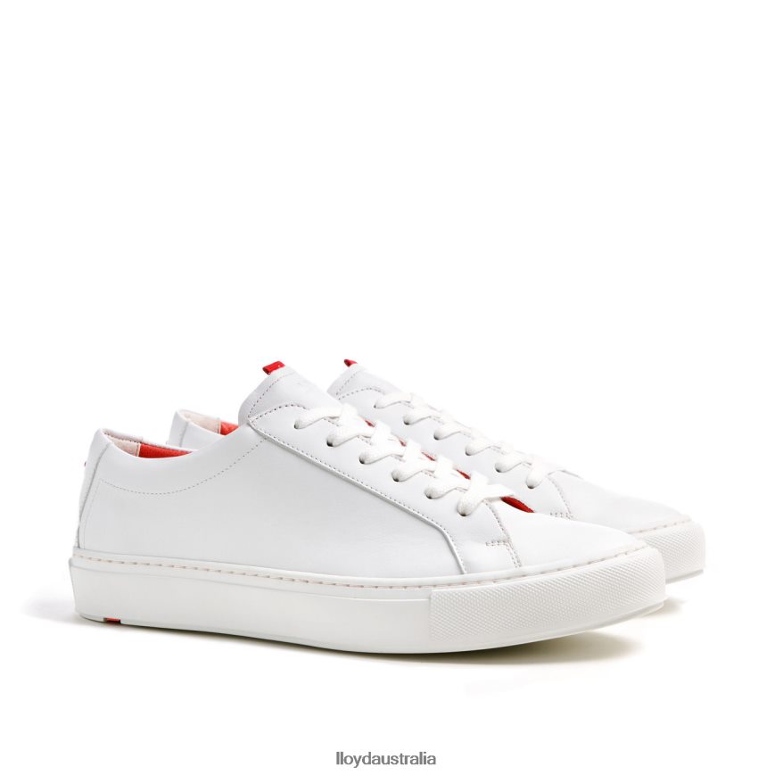LLOYD Men AUSTIN white Shoes H6PTLF348