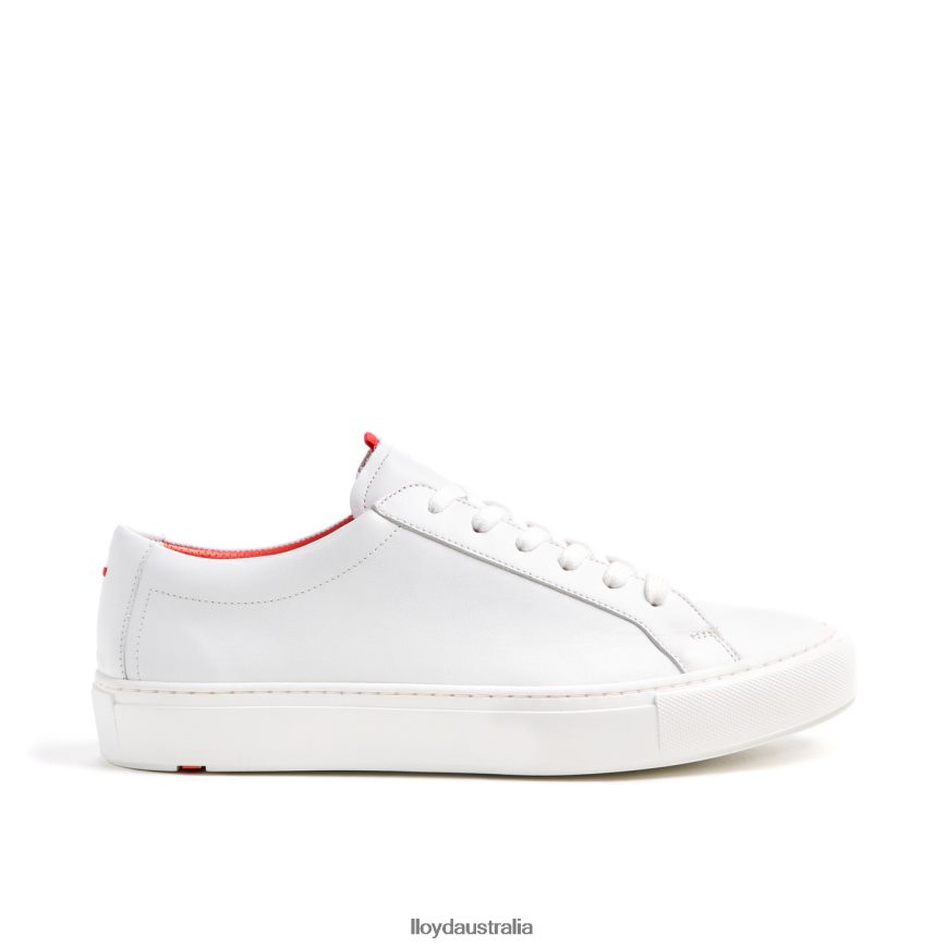 LLOYD Men AUSTIN white Shoes H6PTLF348
