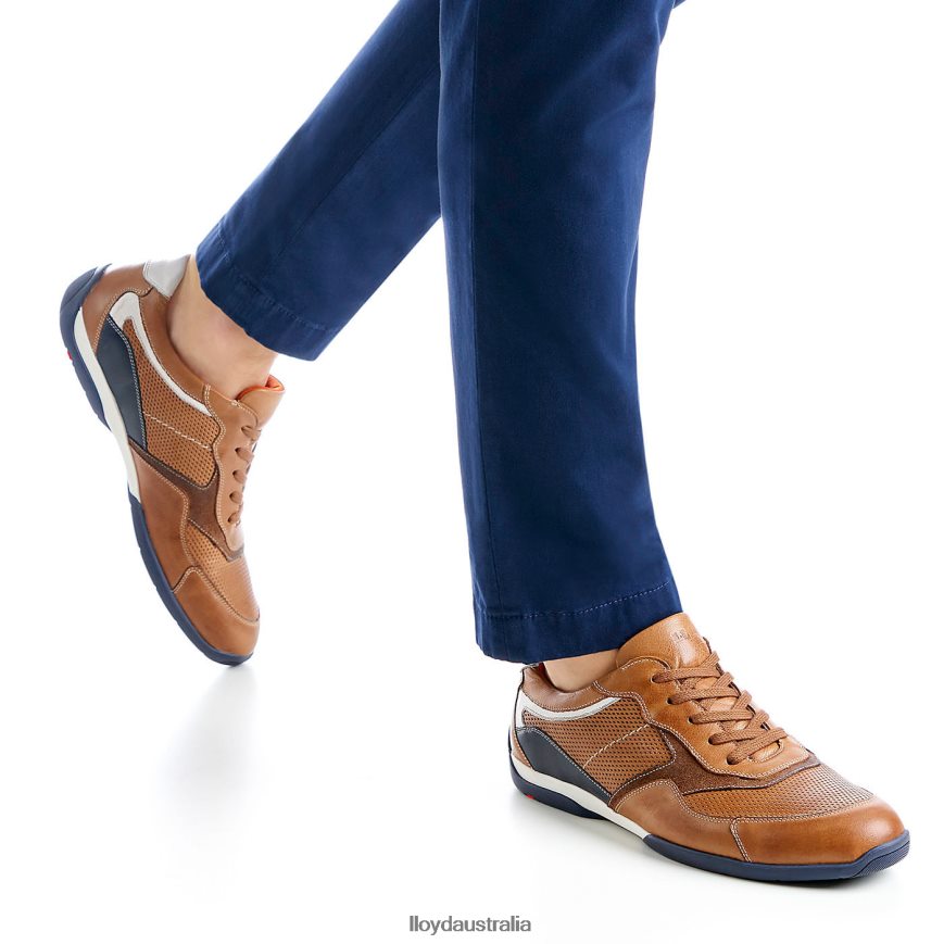 LLOYD Men BALTIMORE brown Shoes H6PTLF287