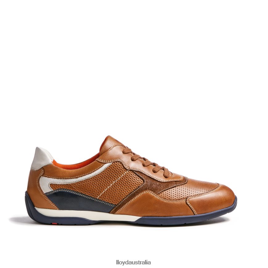 LLOYD Men BALTIMORE brown Shoes H6PTLF287