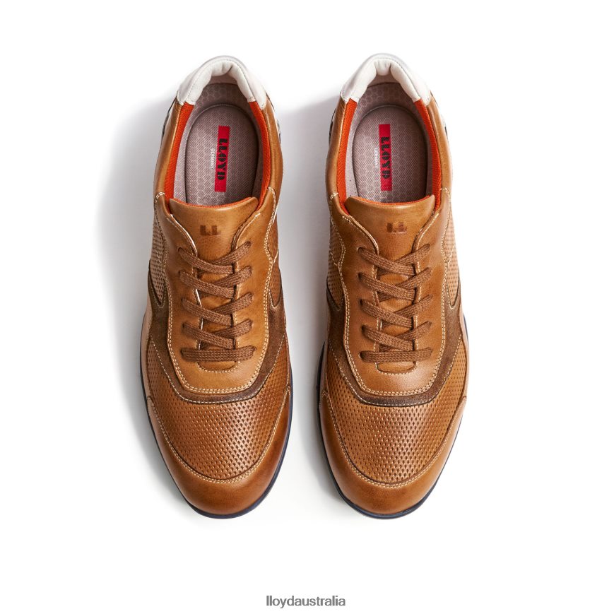 LLOYD Men BALTIMORE brown Shoes H6PTLF287
