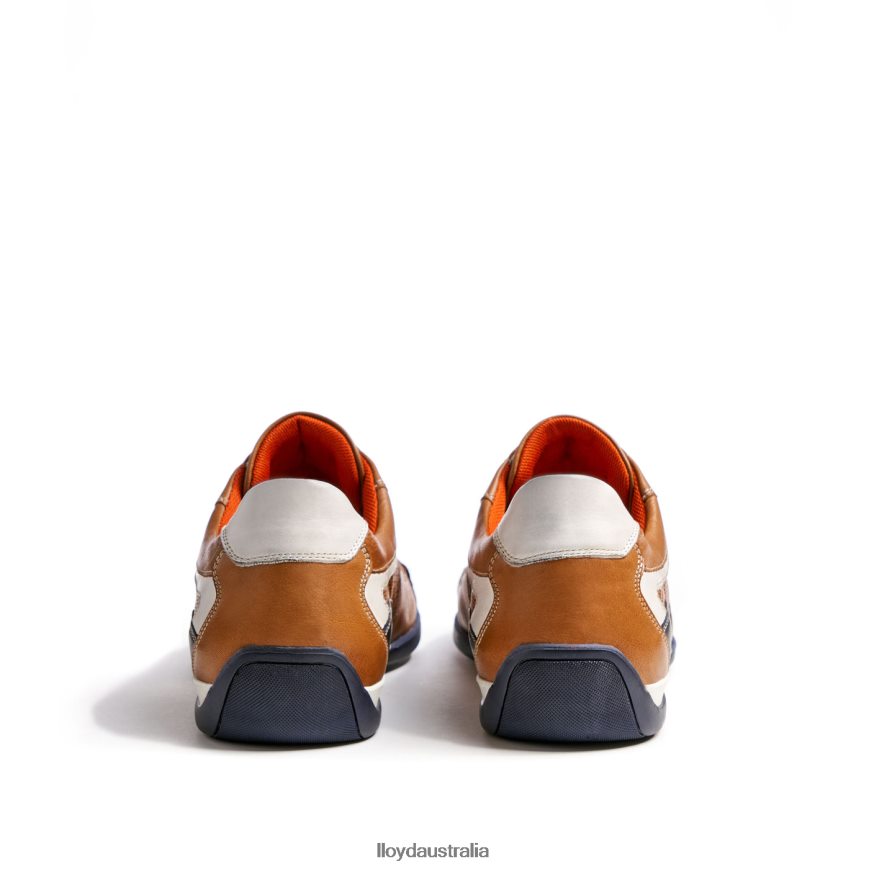 LLOYD Men BALTIMORE brown Shoes H6PTLF287