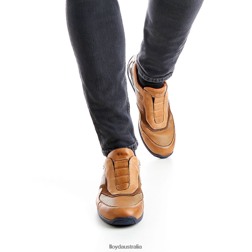 LLOYD Men BANFIELD brown Shoes H6PTLF347