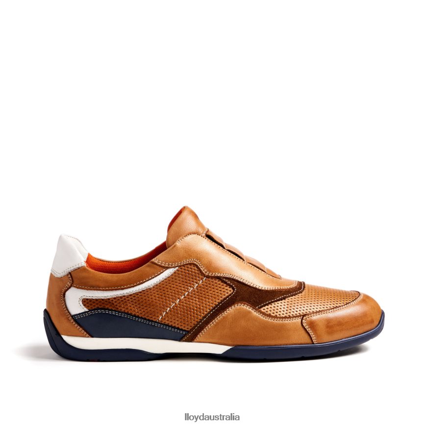 LLOYD Men BANFIELD brown Shoes H6PTLF347