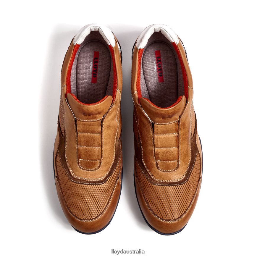 LLOYD Men BANFIELD brown Shoes H6PTLF347